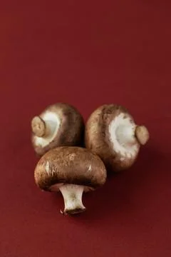 A Close-Up View of Three Fresh Brown Mushrooms on a Rich Red Background Ideal Stock Photos