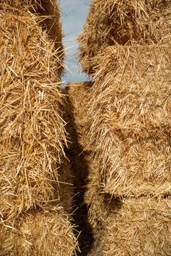 Close-up View Through Hay Bales at Summer Farm Stock Photos