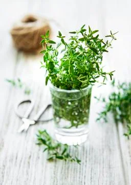 Close up view of thyme bunch. Green thyme in a glass Stock Photos