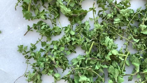 Close up view thyme tea drying in bulk Stock Footage 148204440