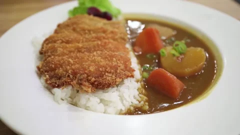 Close-up view of the Tori Katsu Curry Chicken Rice Vídeo Stock 295121053