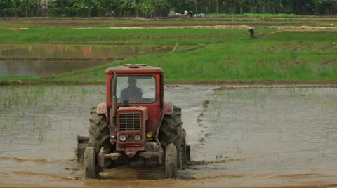 Close-up view to tractor is leveling a ground with water on the agricultural Stock Footage 67485554