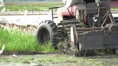 Close up view tractor machine plow in paddy fiel Stock Footage 147214329