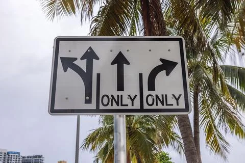 Close-up view of traffic lane direction sign with arrows against palm trees. Stock Photos