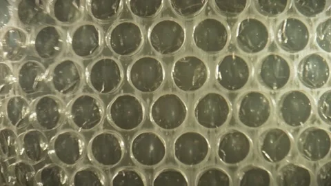 Close Up View of Transparent Bubble Wrap Surface Stock Footage 309289793