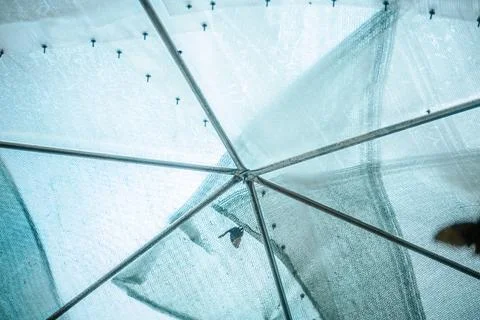 Close-up view of a transparent umbrella wit. Foto stock