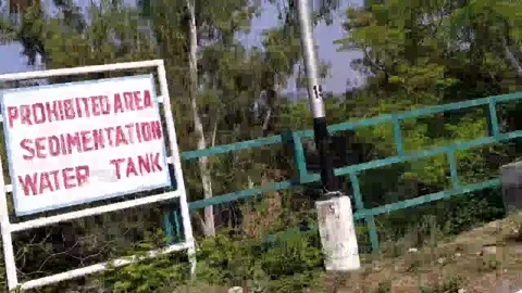 Close up view of tree and bushes. Stock Footage 141808183