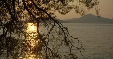 Close-up view on the tree branches at the blurred background of the boat Stock Footage 86274656