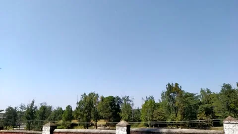 Close up view of tree from the road. Stock-Footage 141748071