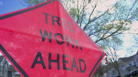 Close up view of Tree work ahead road sign in residential neighborhood. Warning Stock Footage 334027976
