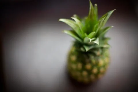Close up view of tropical fruit pineapple. Blurry background Foto stock