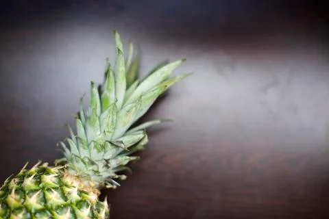 Close up view of tropical fruit pineapple. Blurry background Stock Photos