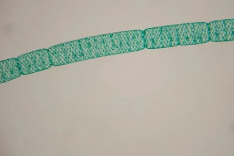 Close-up view of a turquoise woven textile strip with textured patterns aga.. Stock Photos