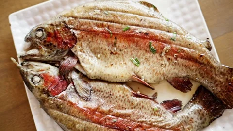 A close up view of two cooked rainbow trout fish on white plate with a rota.. Stock Footage 339791978
