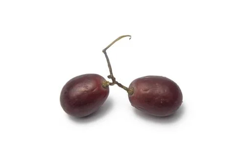 Close-up view of two grapes on white background from 45 degrees Stock Photos