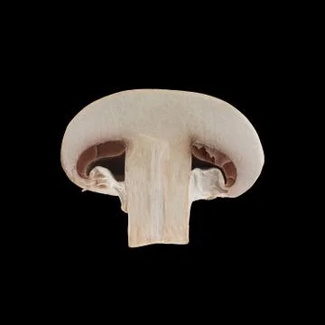 Close up view of two isolated sliced brown champignons on black background. Foto stock
