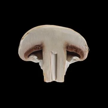Close up view of two isolated sliced brown champignons on black background. Foto stock