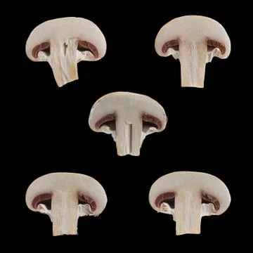 Close up view of two isolated sliced brown champignons on black background. Foto stock