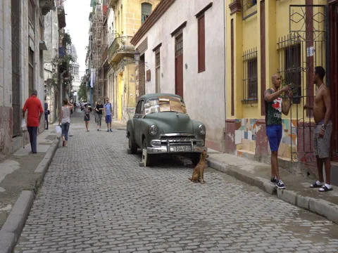 Close-up view two local men have conversation near broken old green retro car Stock Footage 70853913