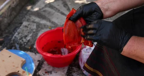 Close-up view of two old hands cleaning a red, roasted pepper from the seeds. Ba Stock Footage 207718988