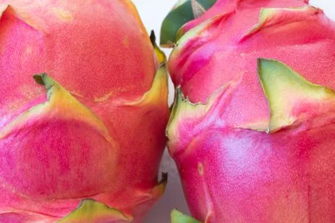 Close view of two white dragon fruit, Hylocereus undatus Stock Photos