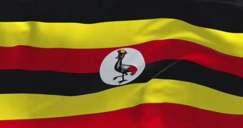 Close-up view of the Uganda national flag waving in the wind Stock Footage 291162059