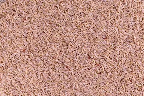 Close-up view of uncooked brown rice grains texture 스톡 사진