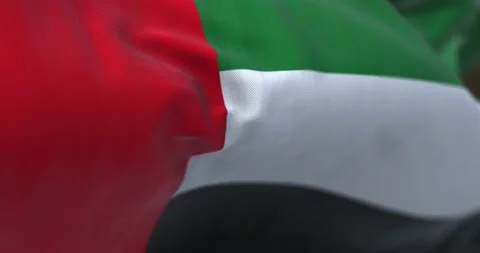 Close-up view of the United Arab Emirates national flag waving in the wind Stock Footage 213529047