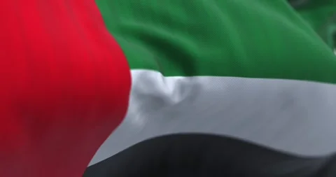 Close-up view of the United Arab Emirates national flag waving in the wind Stock Footage 302289059
