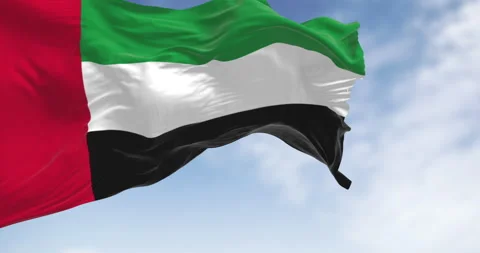 Close-up view of the United Arab Emirates national flag waving in the wind Stock Footage 330534478