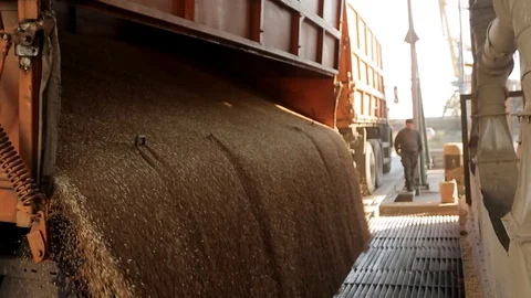 Close view of unloading grain trucks at elevator on elevating hydraulic platform Stock Footage 91117276