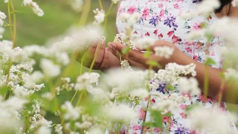 Close up view of unrecognizable female hands holding, stroking and petting Stock Footage 99599763