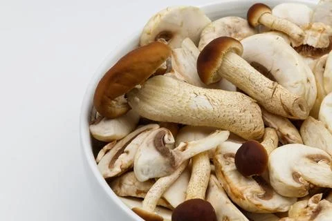 A close-up view of various fresh gourmet mushrooms in a white bowl Stock-Fotos