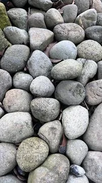 A close up view of various smooth gray and beige river rocks filling the fram Foto stock