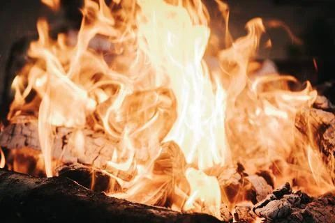 Close-up view of a vibrant campfire with flames dancing over charred wood l.. Stock Photos