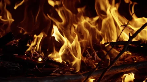 Close-up view of vibrant orange flames consuming dry branches, showcasing the Video stock 312509011