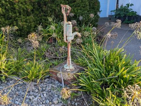 Close view of vintage hand pump framed by lush plants Fotos Stock