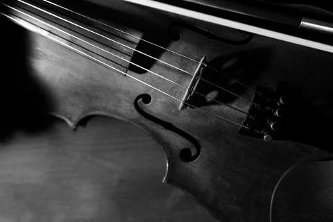 Close view of a violin strings and bridge Stock Photos