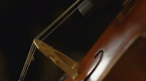 Close-up view on violoncello in orchestra Stock Footage 64527992