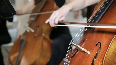 Close-up view on violoncello in orchestra Stock Footage 73587527