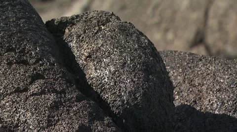 Close Up View Of Volcanic Rock Video stock 19282741