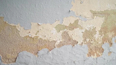 Close-up view of the wall paint peeling off. 動画素材 252661896