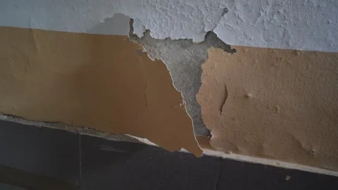 Close-up view of the wall paint peeling off. 動画素材 258815818