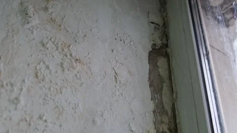 Close-up view of the wall paint peeling off and mold on the wall. Dampness and Stock Footage 300559789