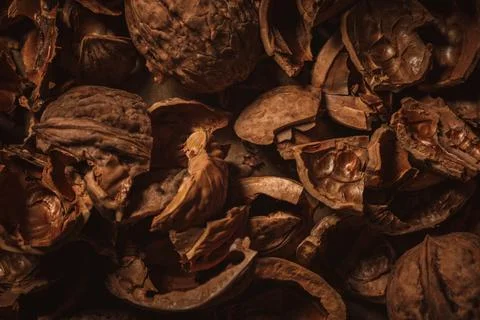 Close view walnut husk background Stock Photos
