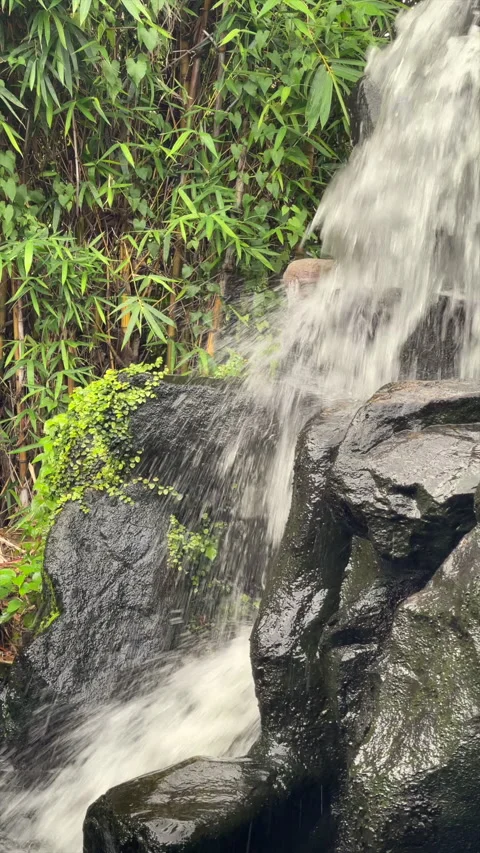Close View Of Water Cascading Over Dark Rocks Beside Bamboo Stock Footage 344103265