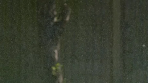 Close view water droplets streaming downward in front of wooden fence, smart Stock Footage 335144185