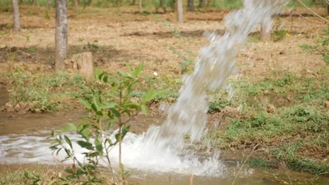 Close view of water dropping in a field Stock Footage 147704057
