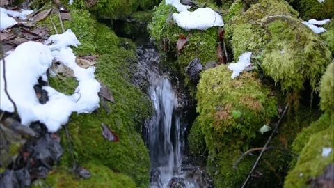 Close up view of water flowing in beautiful nature Stock Footage 168908701