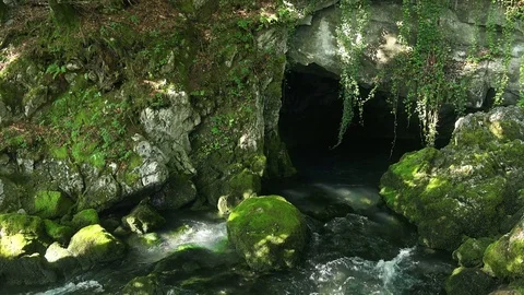 Close-up View of Water Flowing from the Mount Cave. 4K Ultra HD Stock Footage 81990117